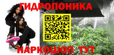прущие крисы Будённовск