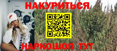 прущие крисы Будённовск