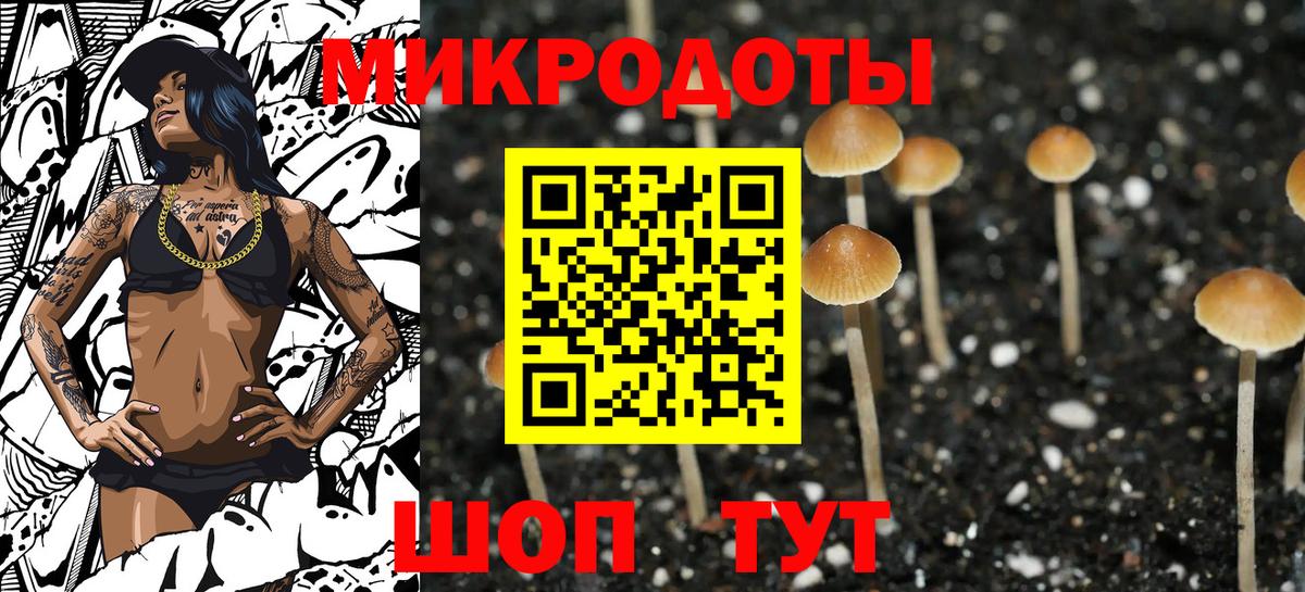 Красный Сулин  Псилоцибиновые грибы мицелий  Вход с VPN 